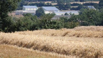 exploitation agricole, champs, cultures