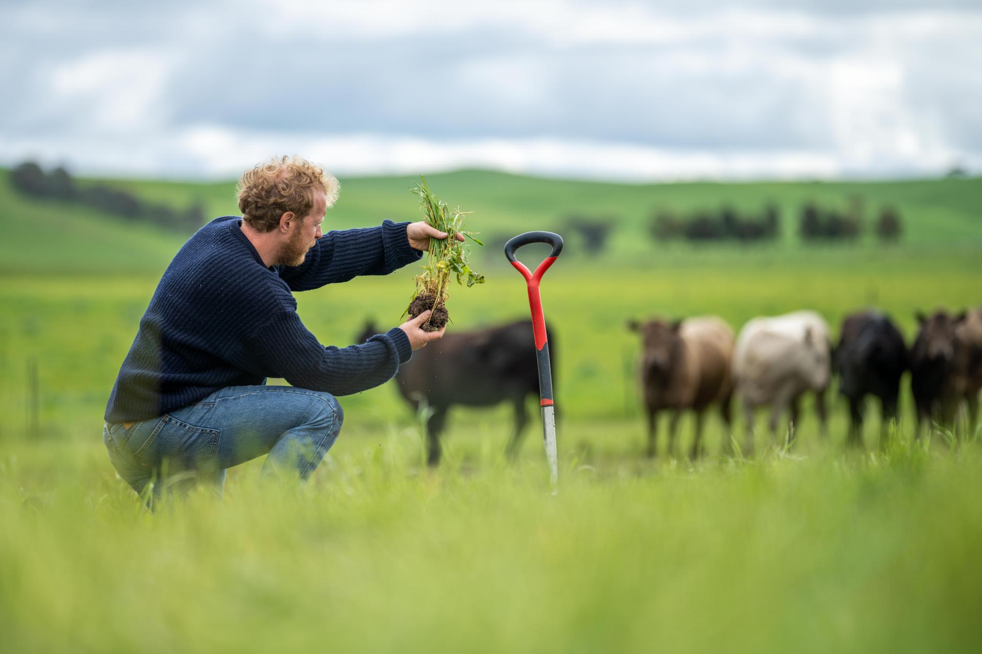 Conseil Agronomique et environnement Cerfrance GO