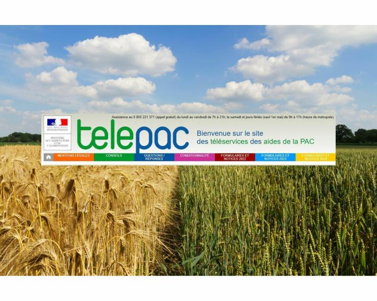 image de l'écran d'accueil du site télépac sur fond d'assolement