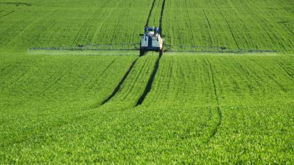 Conseil Stratégique Phytosanitaire Cerfrance